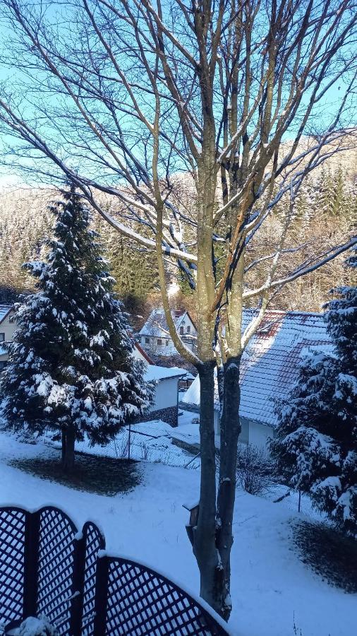 Monteur- Und Ferienwohnung Waldrauschen Fehrenbach Exterior foto