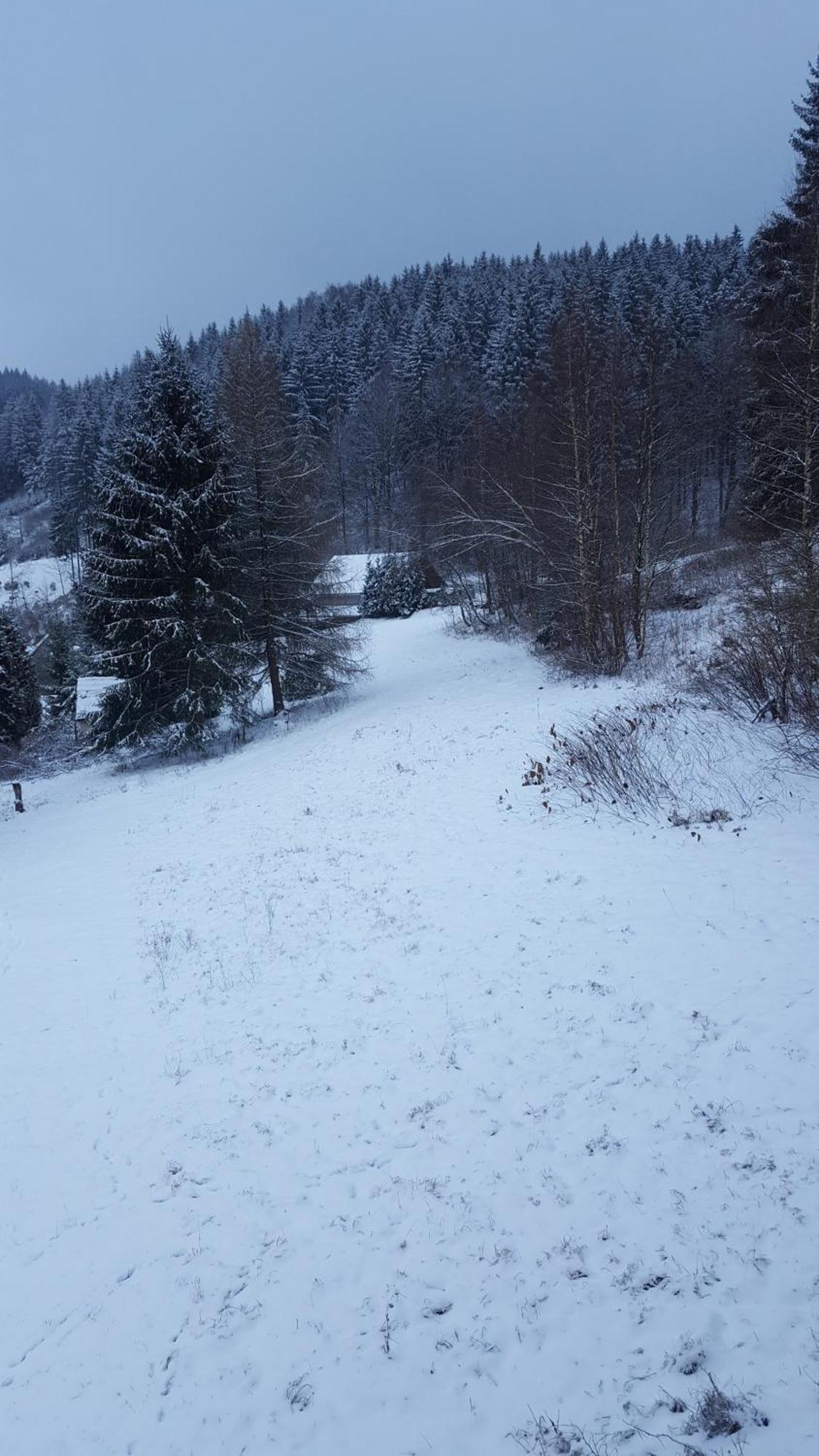 Monteur- Und Ferienwohnung Waldrauschen Fehrenbach Habitación foto
